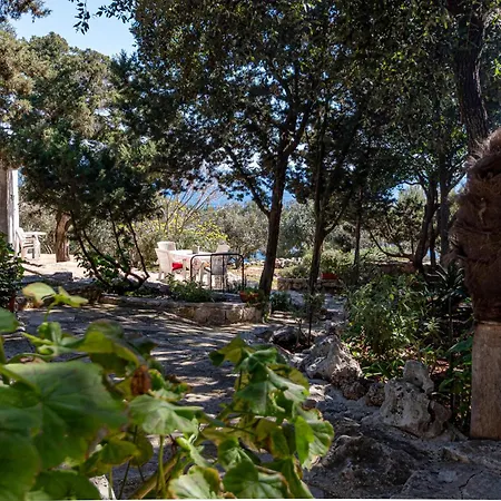 Mario Apartment Smokvica (Korcula)